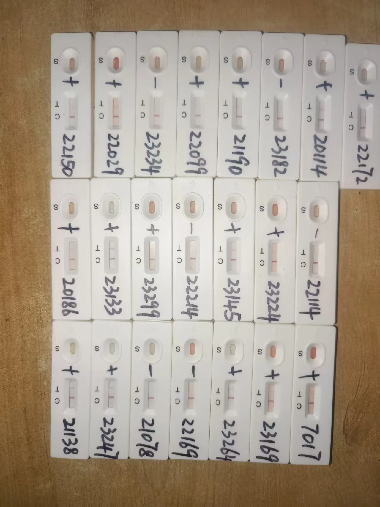 Customer feedback photo of 22 bovine PAG rapid test cassettes with hand-written positive and negative calls, showing varying T line intensity