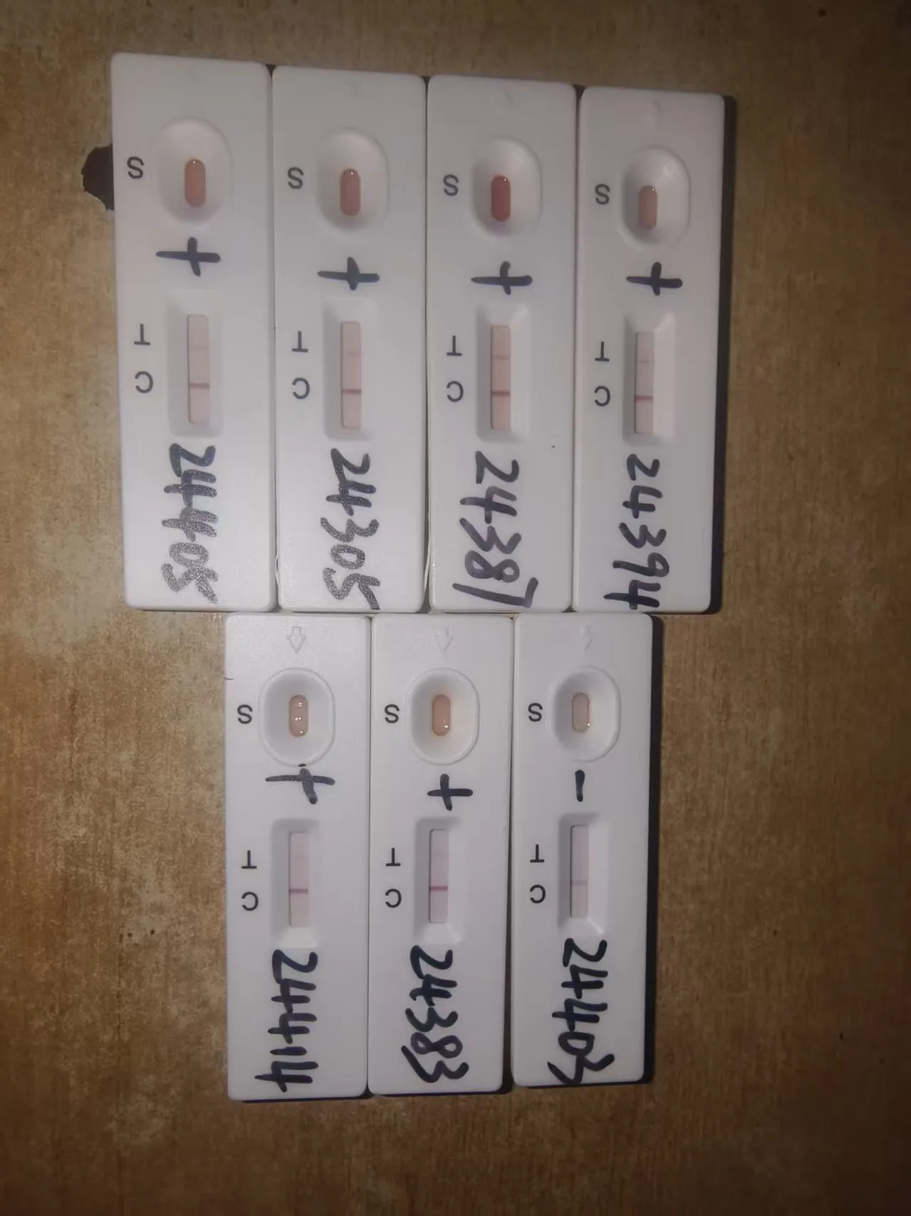 Second customer feedback photo of seven bovine PAG rapid test cassettes showing consistent T line results across a different sample batch