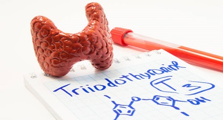 The Clinical Significance of Triiodothyronine Antibody Levels in Pregnancy