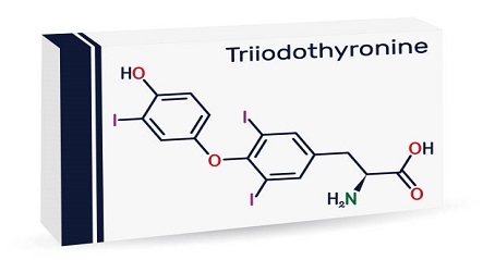 Treatment Approaches for Triiodothyronine Antibody Related Thyroid Disorders