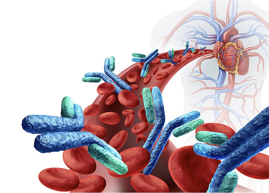 SEKBIO IVD Antibody/Antigen