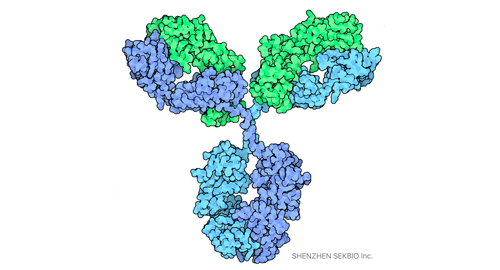 SEKBIO Antigen/Antibody Products