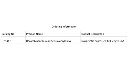 Recombinant Human Serum Amyloid A (SAA)