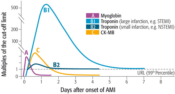 Myo - The earliest abnormally increased cardiac protein marker after myocardial injury