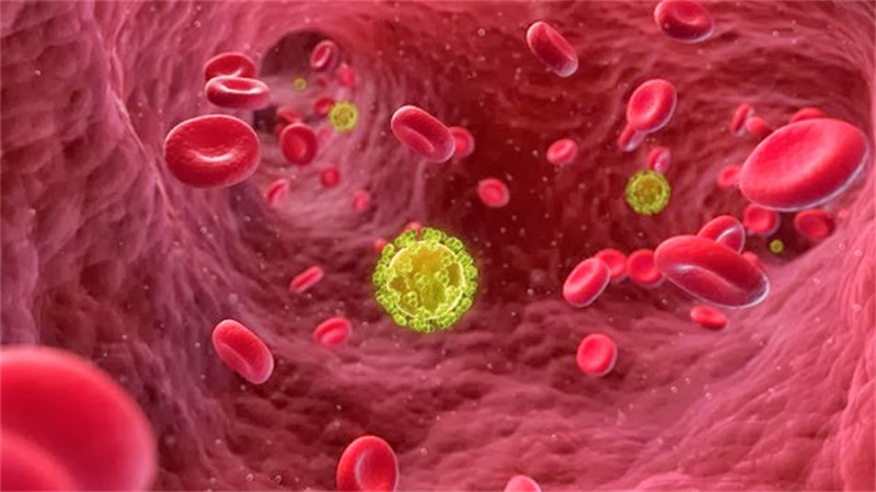 HIV_and_TP-1.jpg