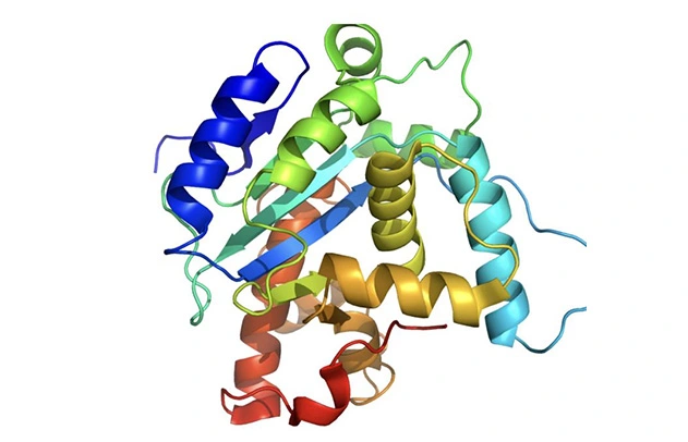 Humanized Anti-human COVID-19 mAb IgM Protein S