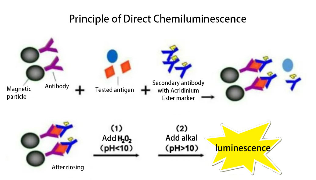 principle-of-direct-chemiluminescence.jpg