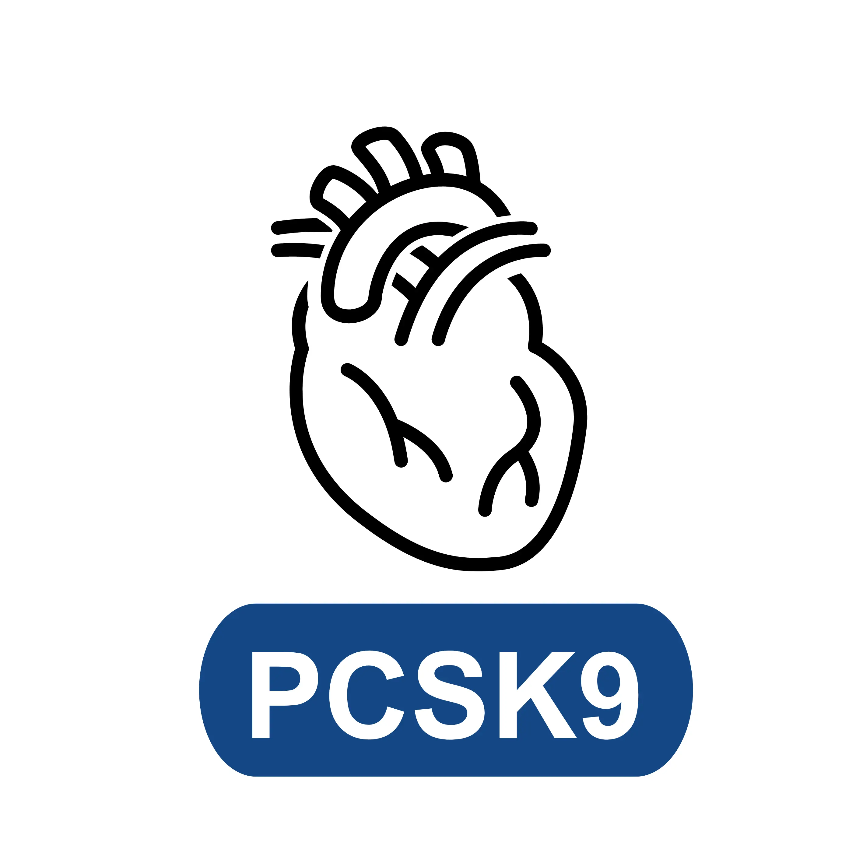 Proprotein Convertase Subtilisin/Kexin Type 9 (PCSK9)