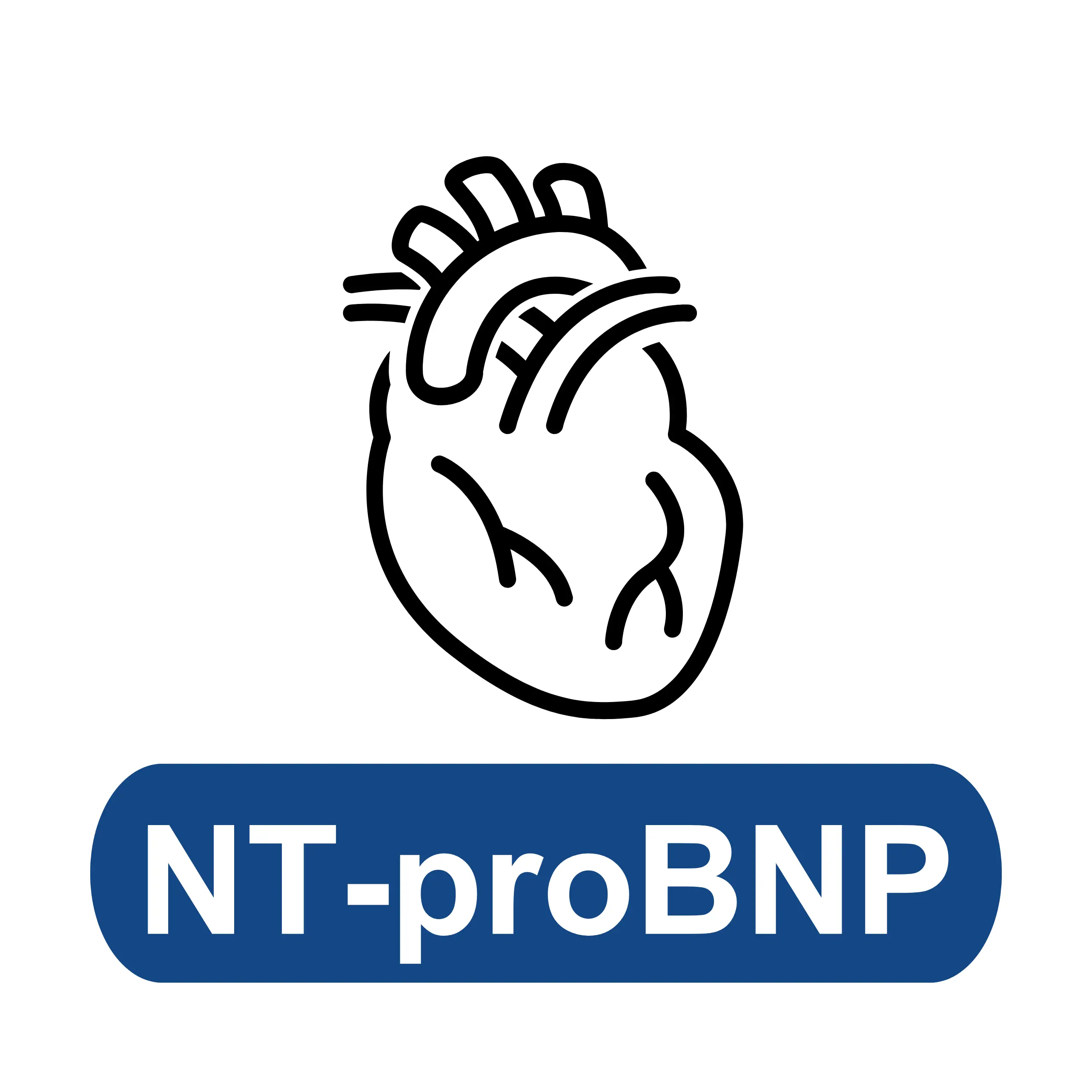 N-terminal Pro B Type Natriuretic Peptide (NT-proBNP)