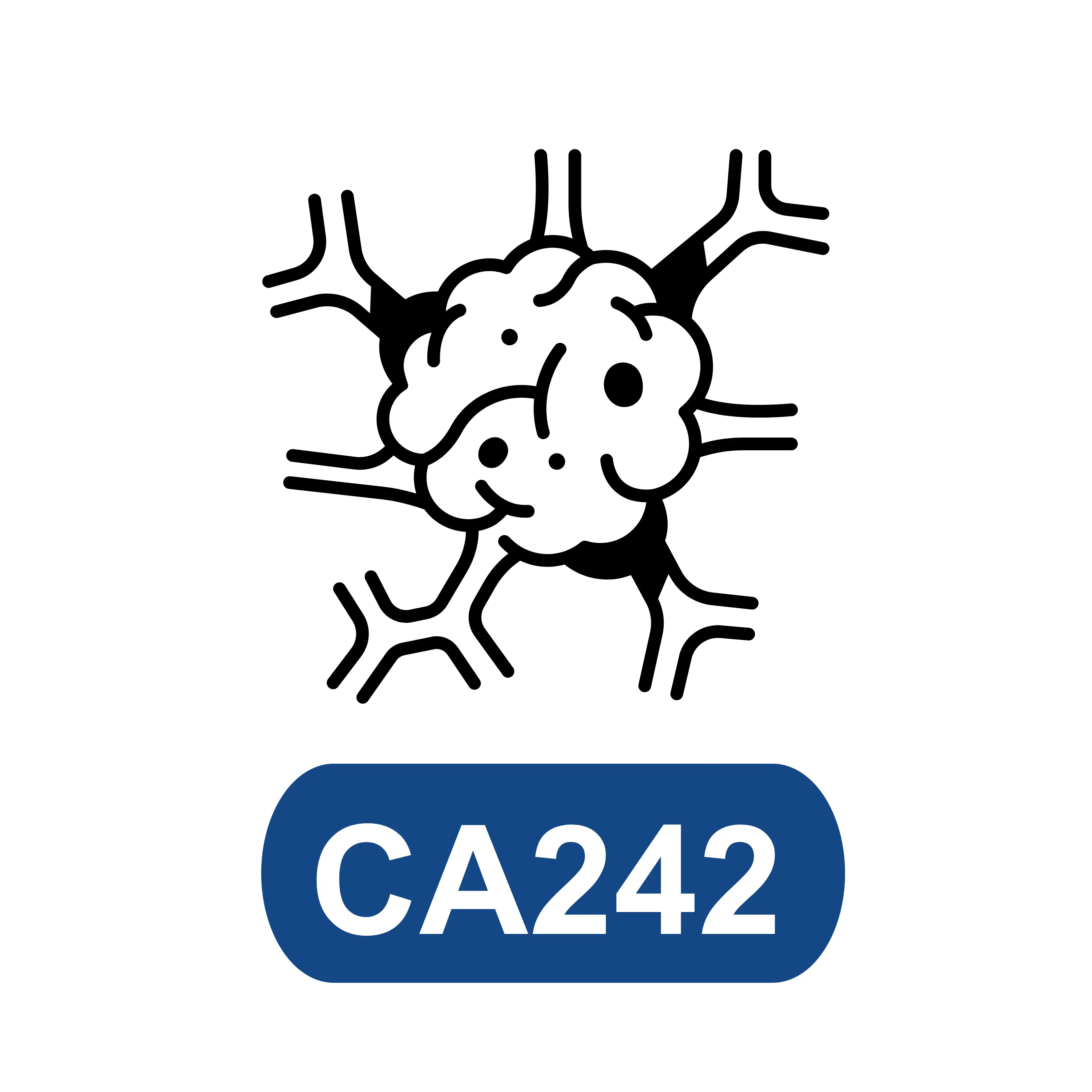 CA242