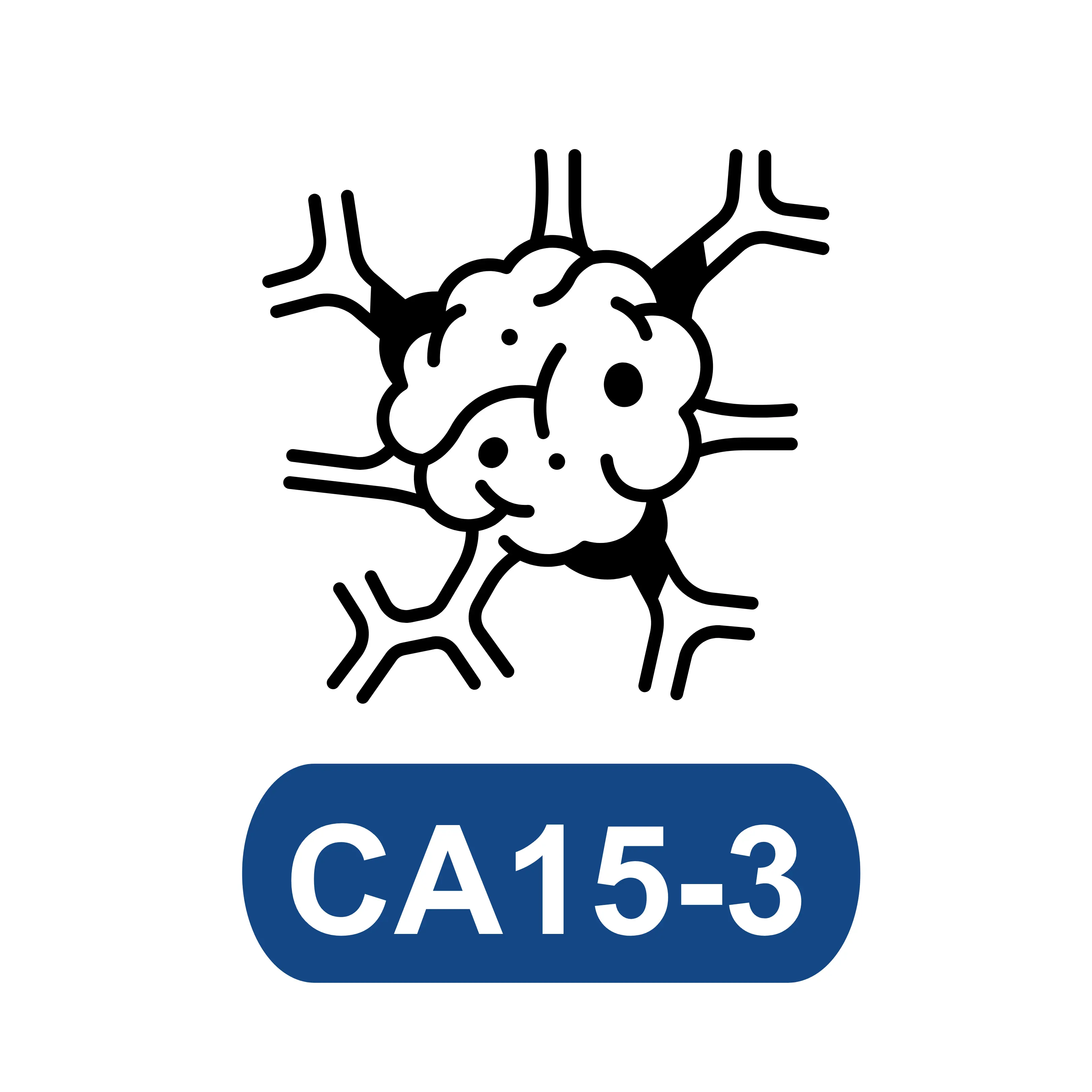 CA15-3