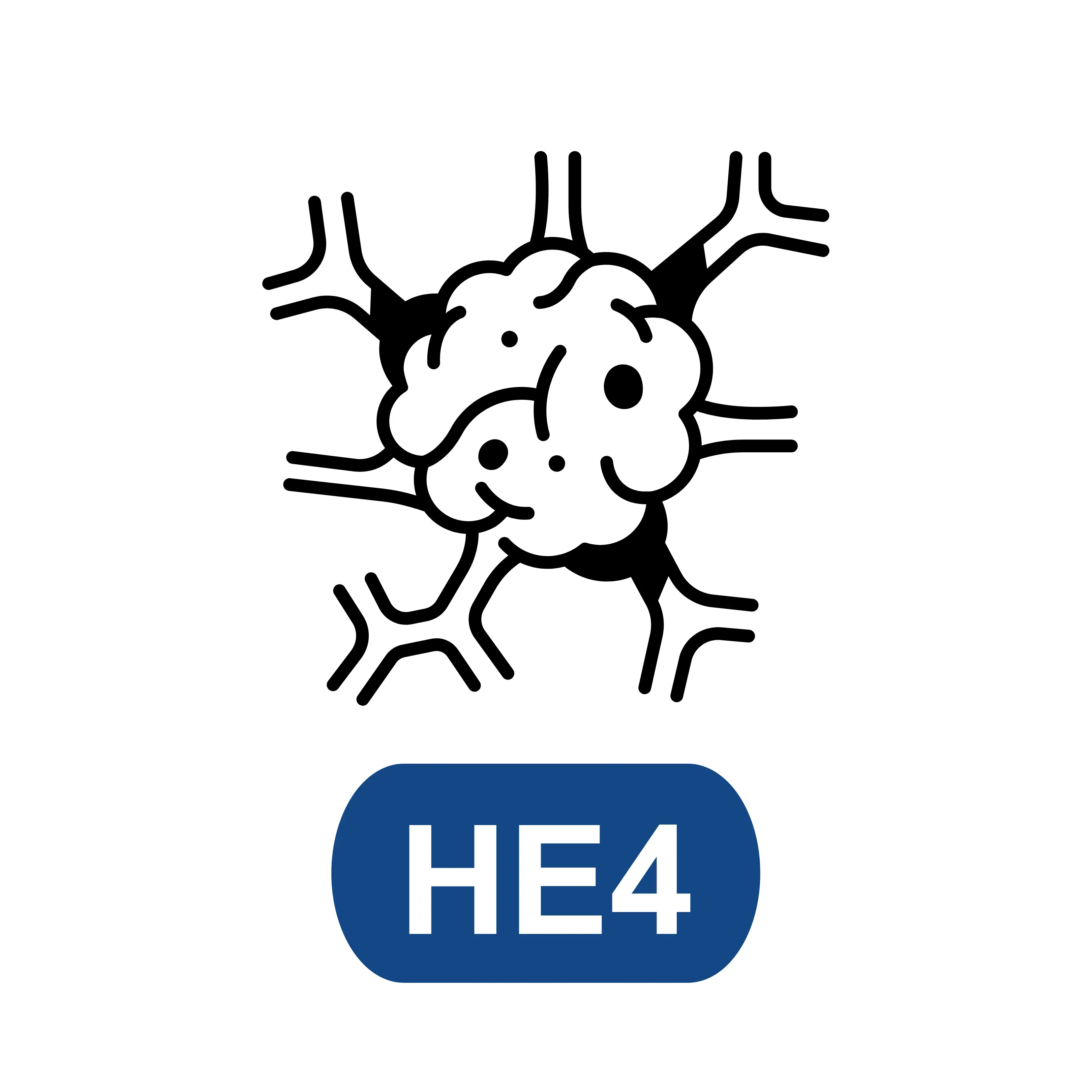 Human Epididymis 4 (HE4)