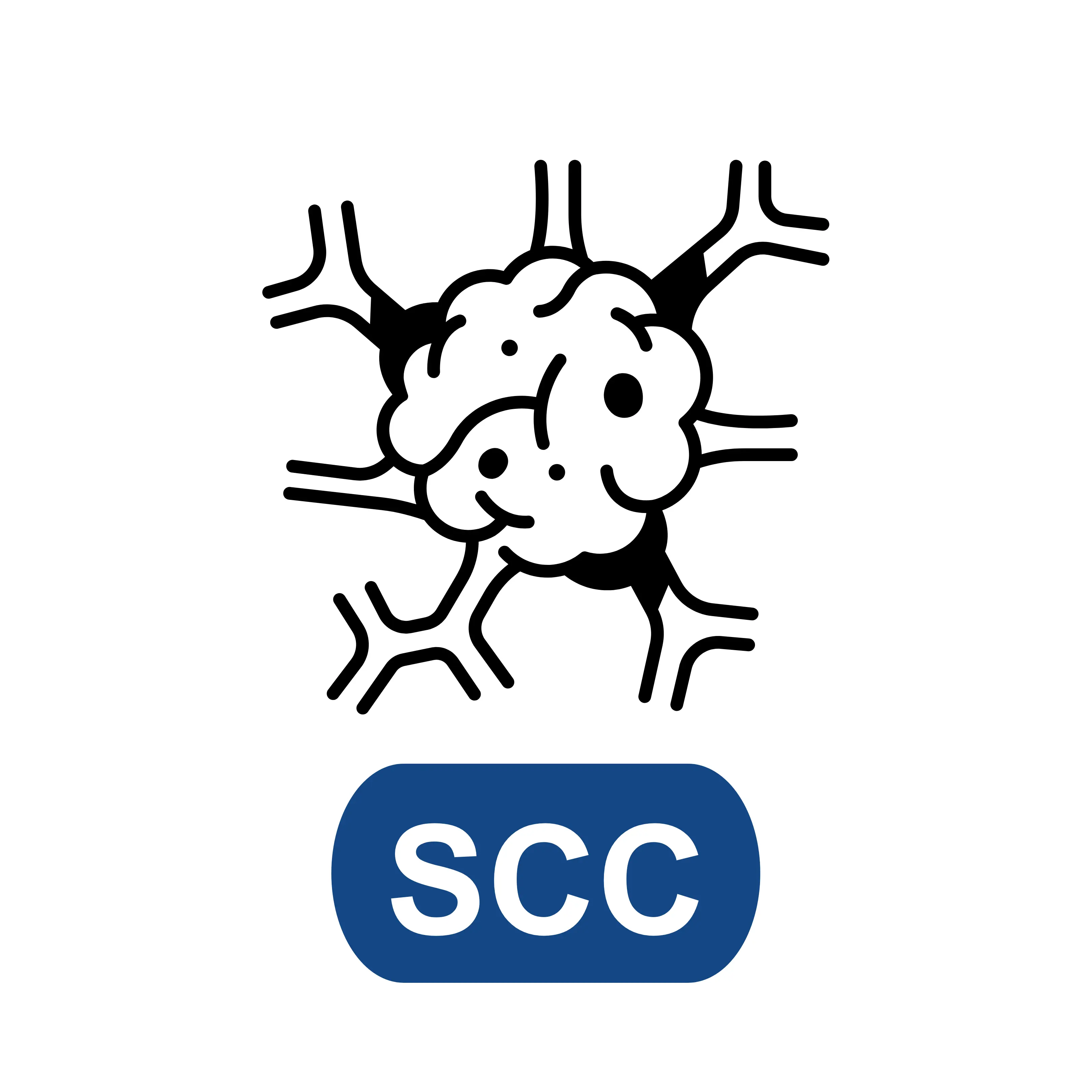 Squamous Cell Carcinoma (SCC)