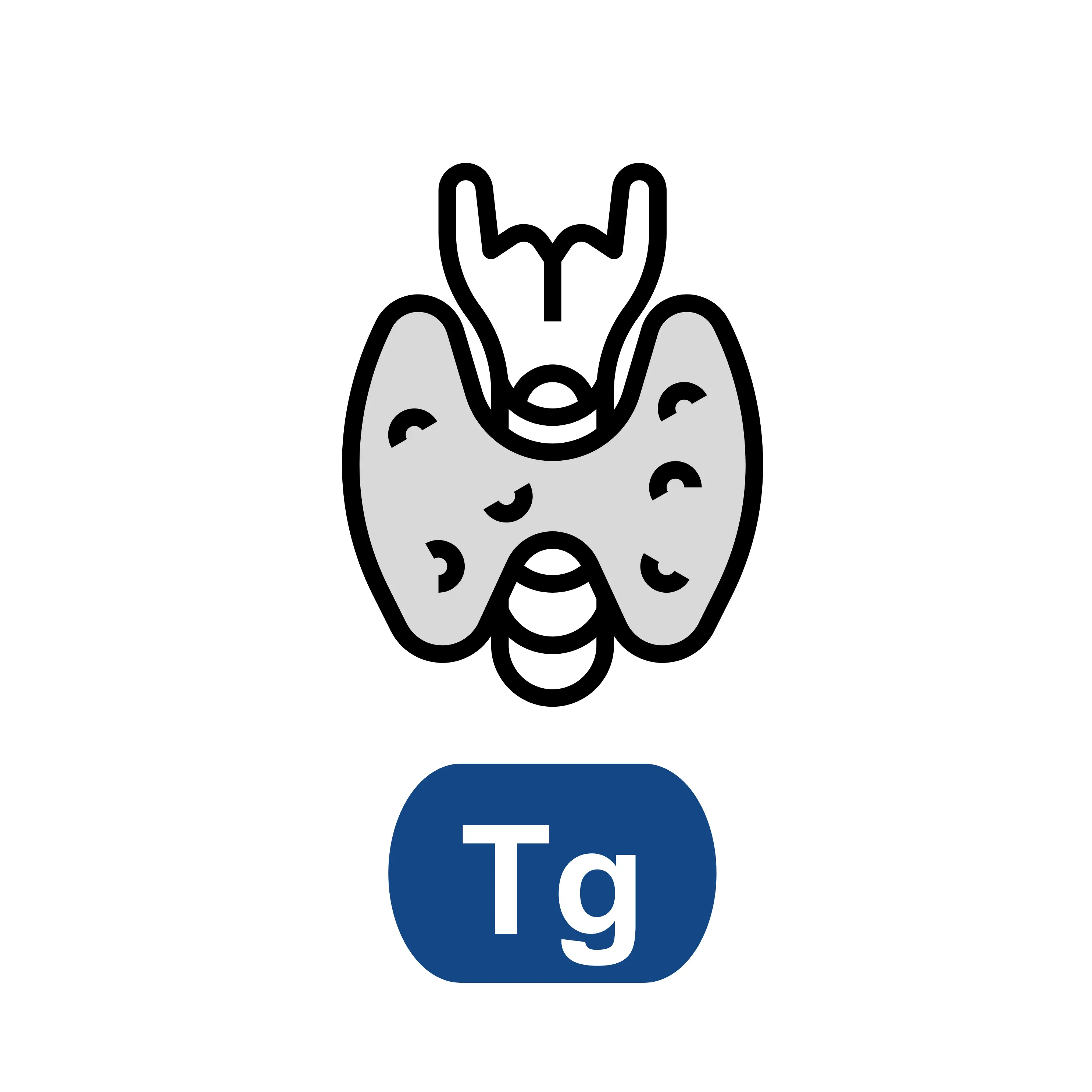 Thyroglobulin (Tg)