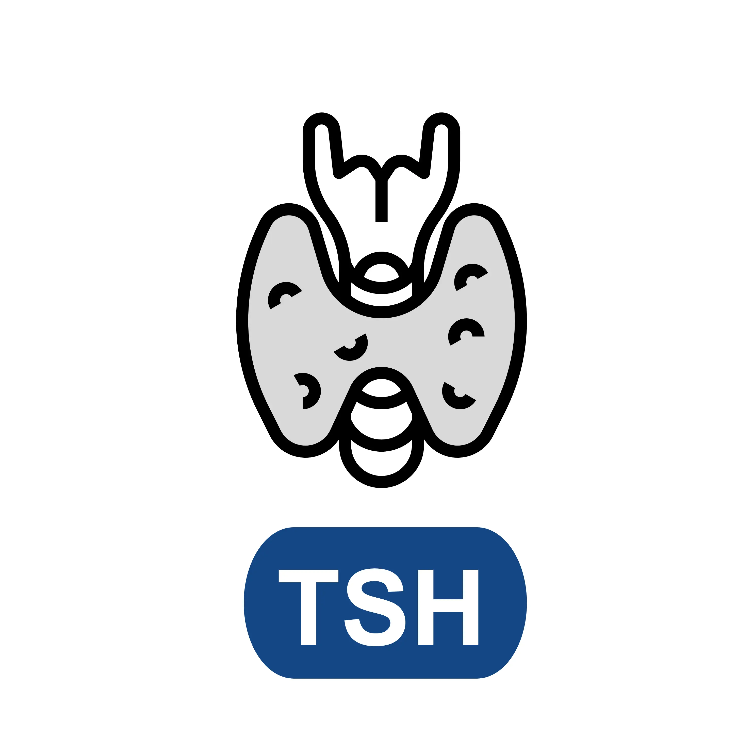 Thyroid Stimulating Hormone(TSH)