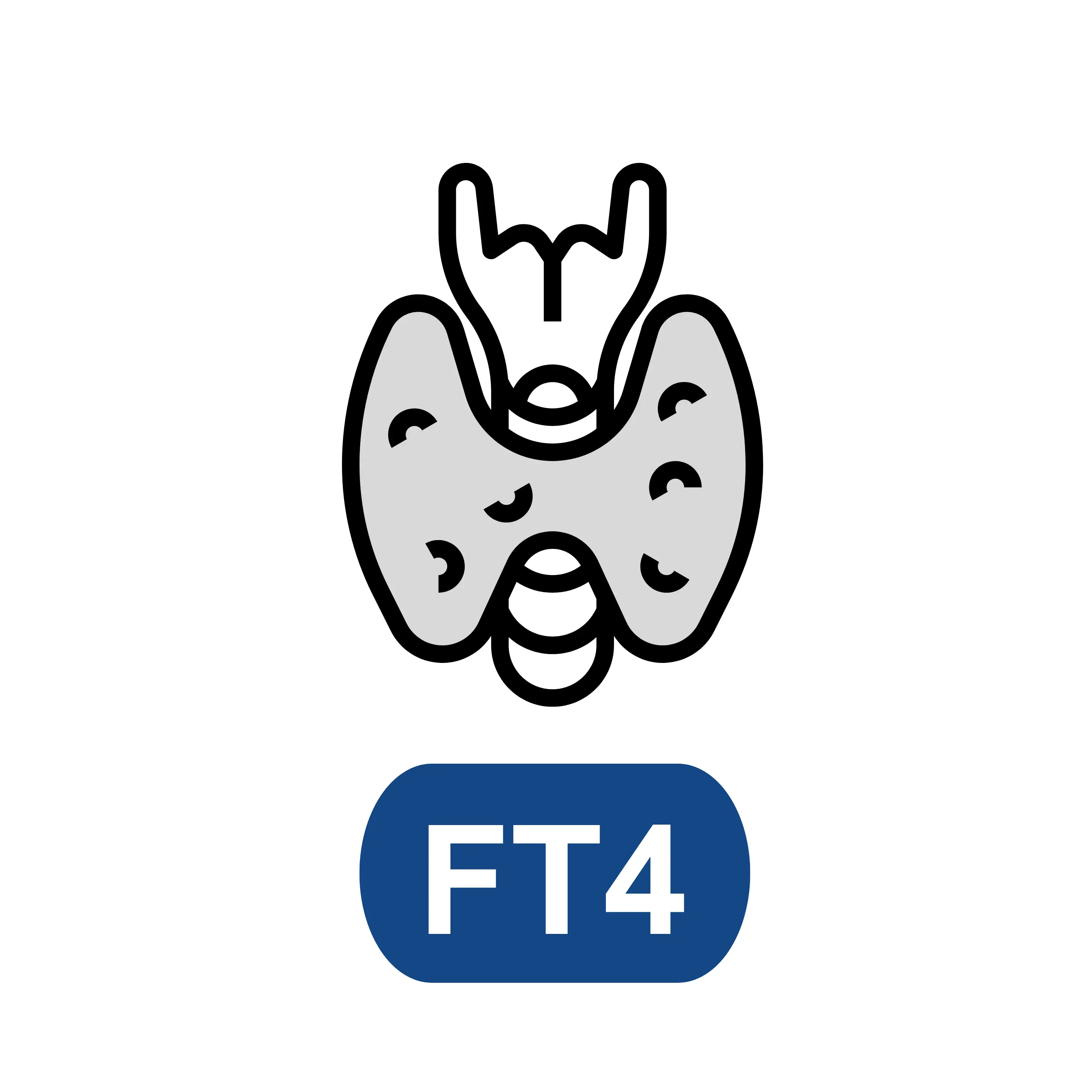 FT4(Free Thyroxine)