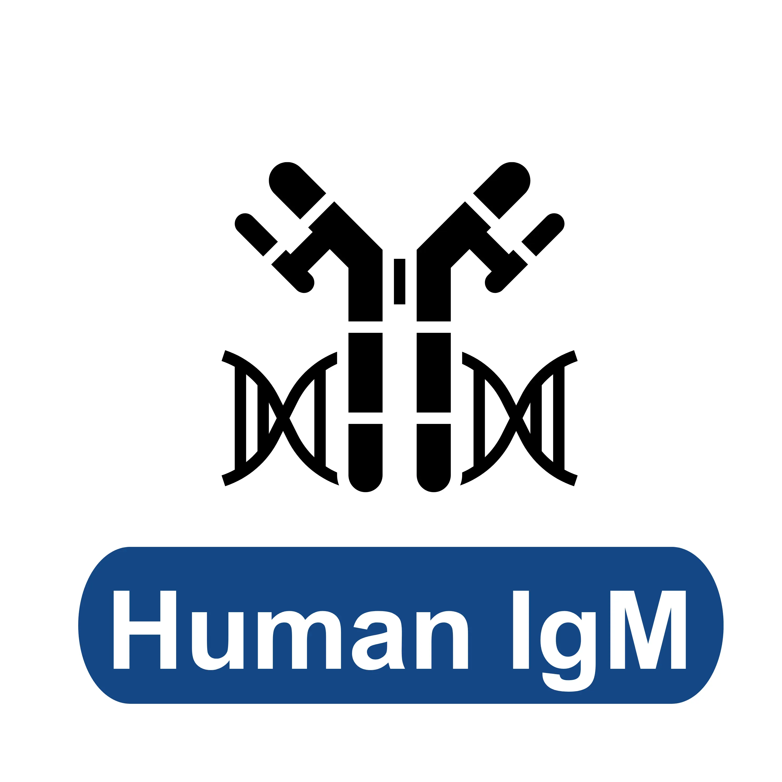 Human IgM