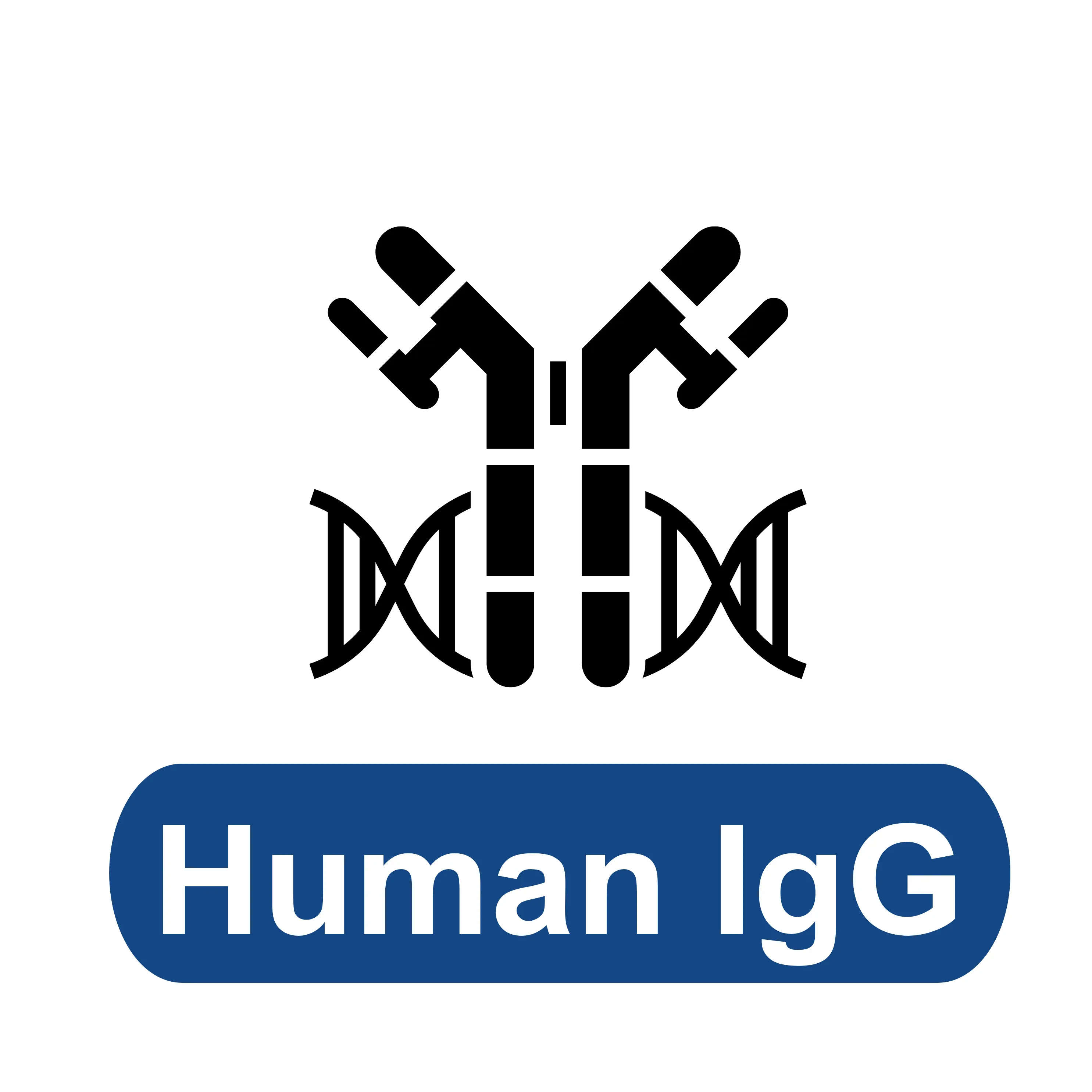 Human IgG