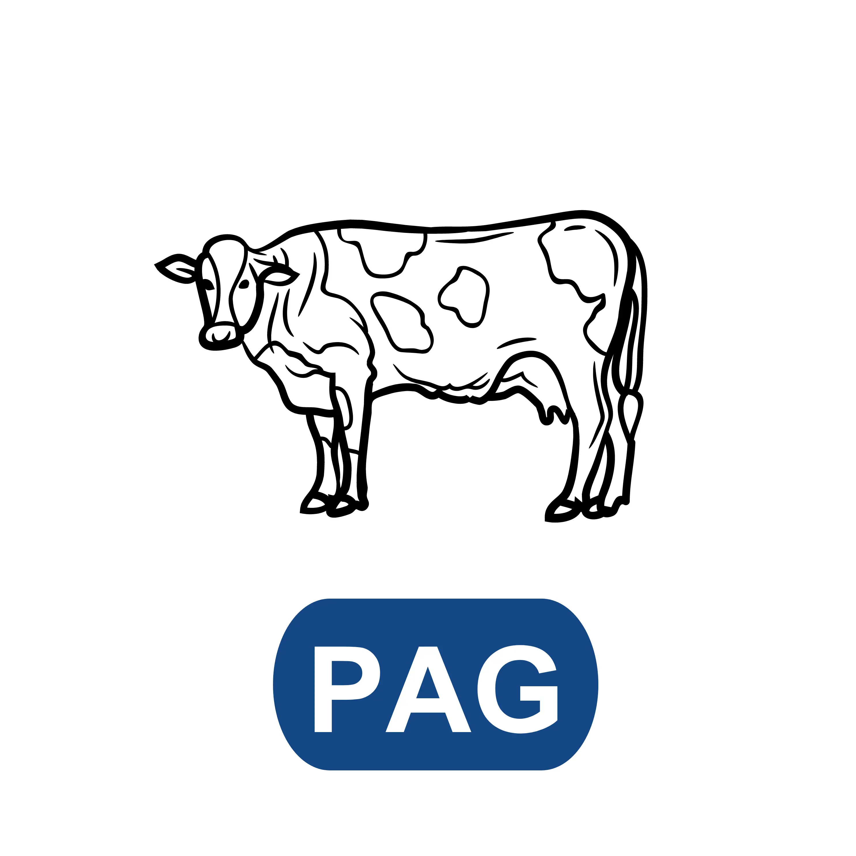 Cow Pregnancy-associated glycoproteins (PAG) test
